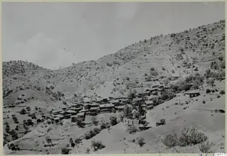Village of Lazania on a steep hillside, with terraced slopes, scattered trees and a single building on the right