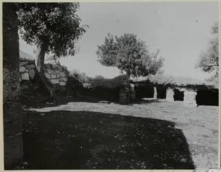 Stone wall, thatched open shelter and trees in a bare stony yard