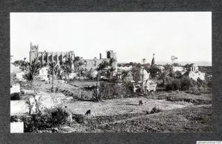Ruined stone buildings among palm trees, with two grazing goats in the foreground