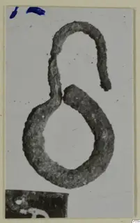 Corroded metal loop with a hooked upper end, photographed on a pale card mount