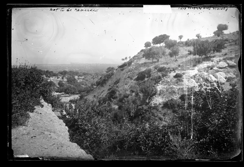 Steep wooded hillside with rocky outcrops in the foreground, looking across a hazy distant plain toward Kyrenia.
