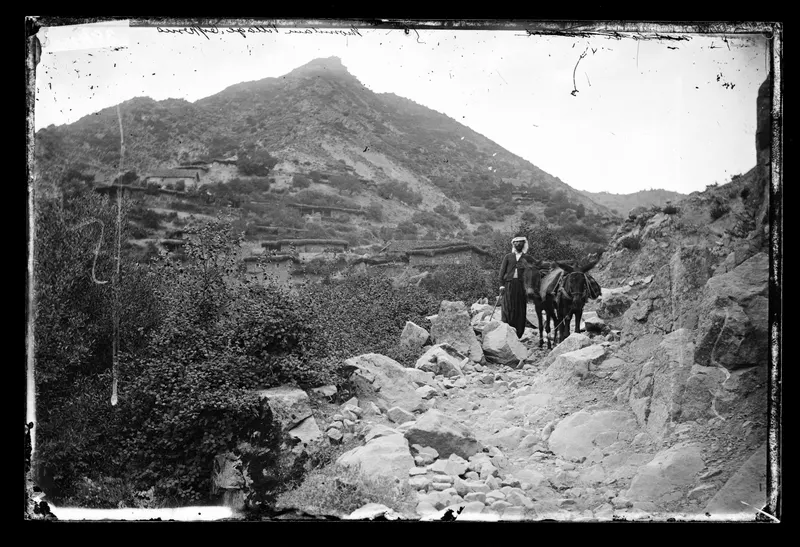 A man in a long robe and headcloth stands beside two laden mules on a stony path below a wooded hill.