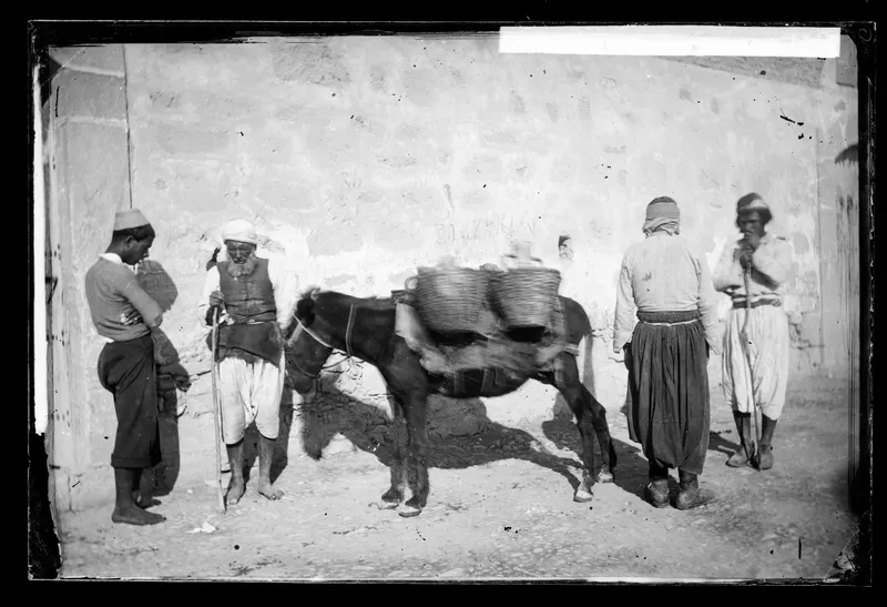 Four men stand beside a dark donkey carrying two large baskets, against a whitewashed wall in a sunny street.