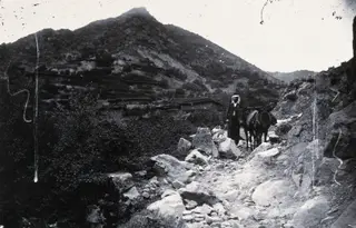 A man with pack mules on a mountain path, 1981 contact print