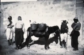 Four men with a laden donkey in a street, 1981 contact print