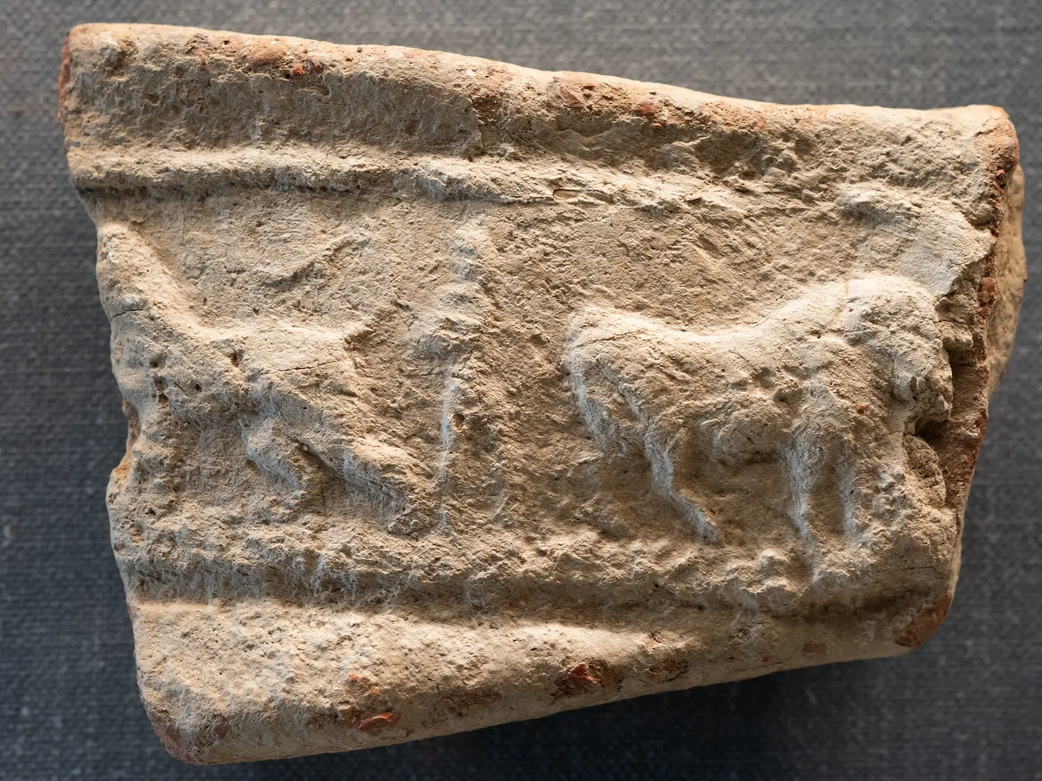 Figure 8: Two Bulls flanking standing person.