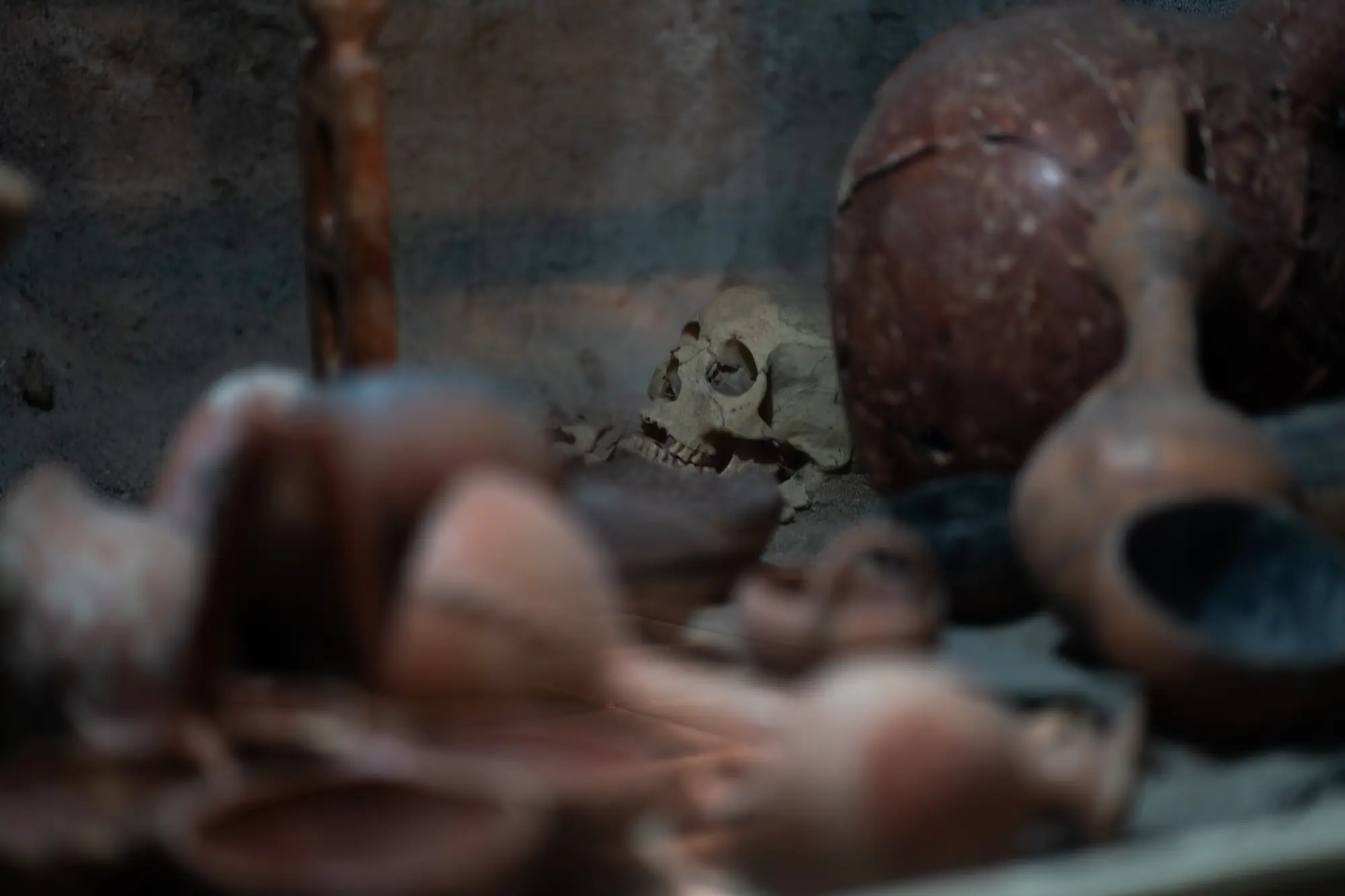 Figure 1: Skull of Ancient Cypriot in a recreation of a Bronze Age Cypriot Tomb at the Cyprus Museum, Nicosia
