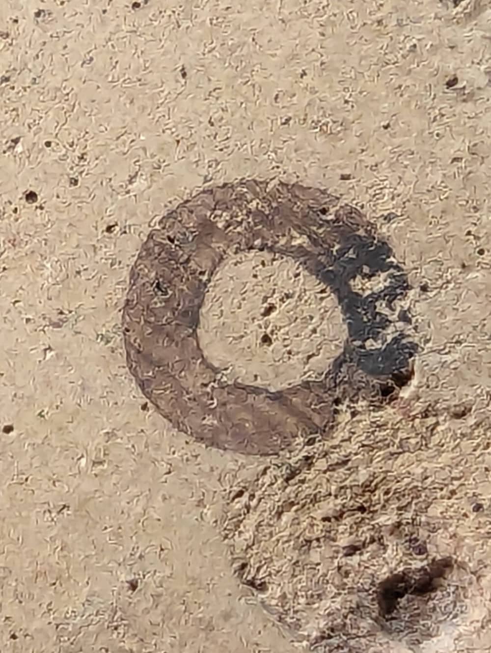 Cypriot Oinochoe Shape