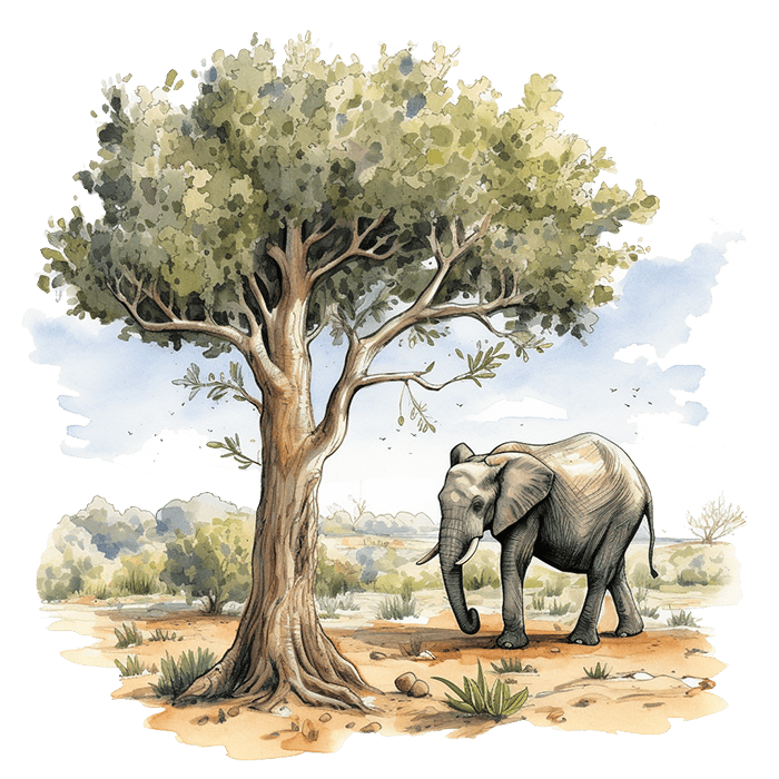 Ancient Cypriot Pygmy Elephant