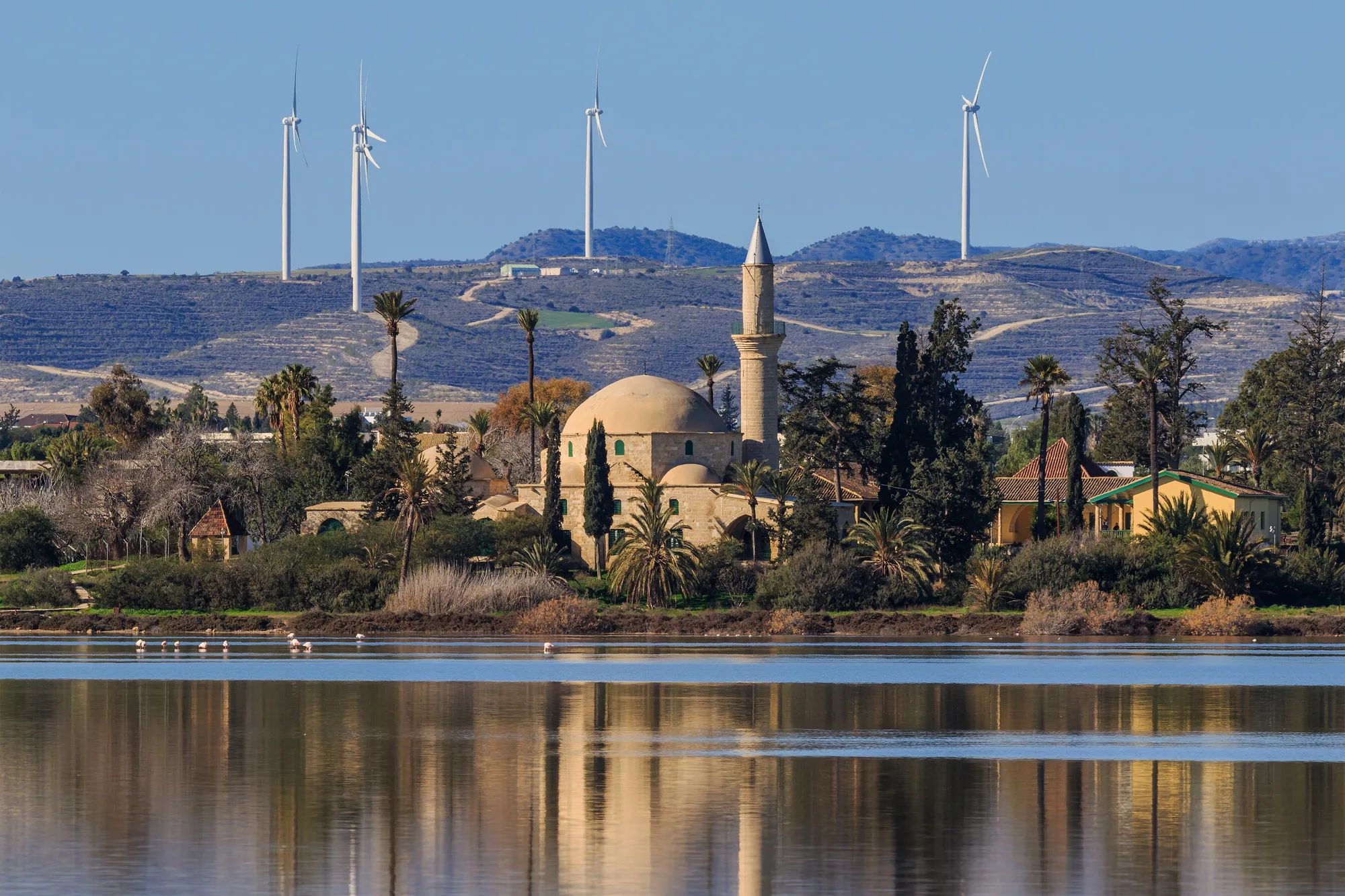 The stone dome and slender minaret of the Hala Sultan Tekke shrine among palm trees on the far shore of the Larnaca Salt Lake, mirrored in the still shallow water under a blue sky.