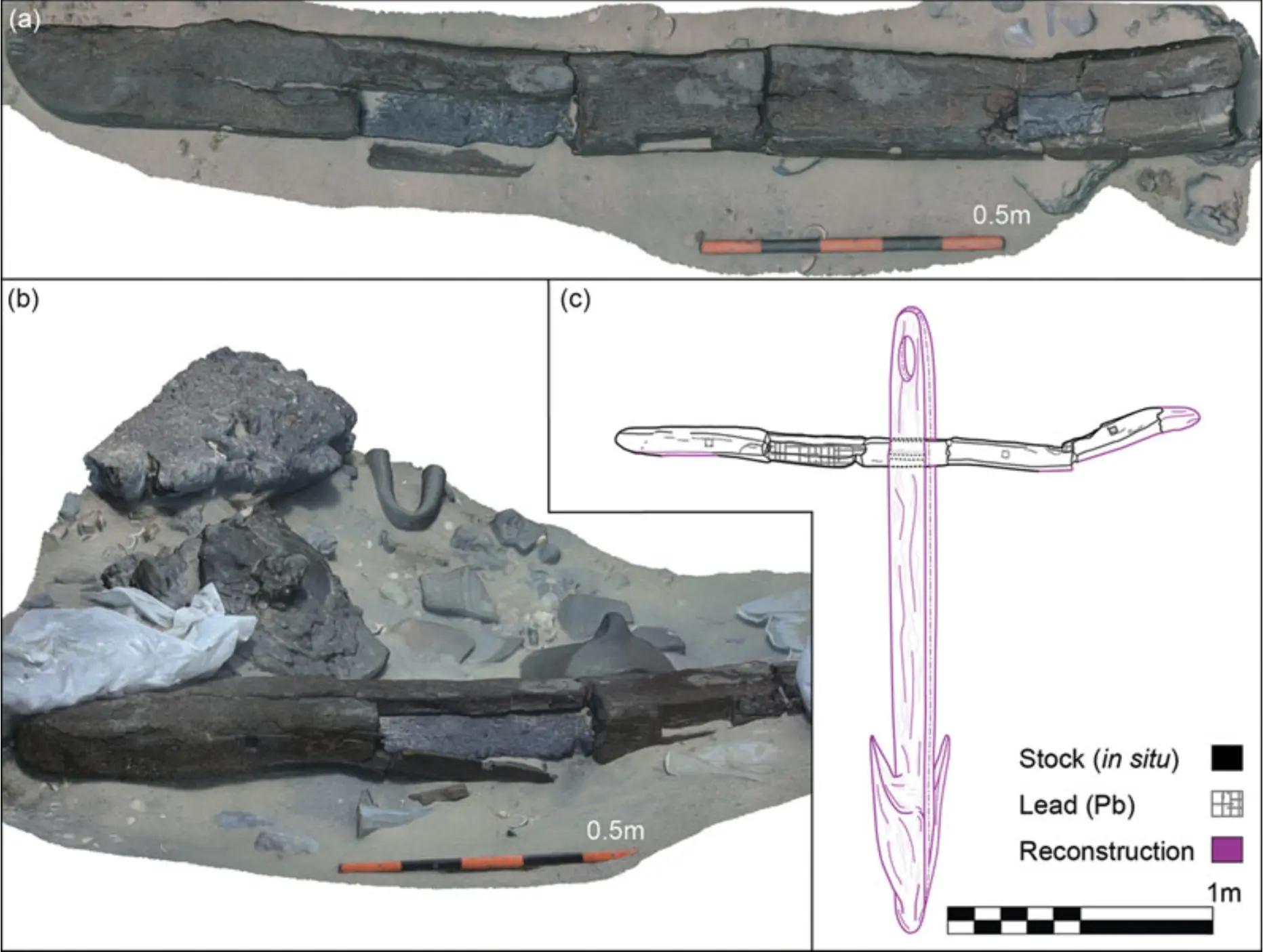 Anchor from Tel Dor underwater find 2025