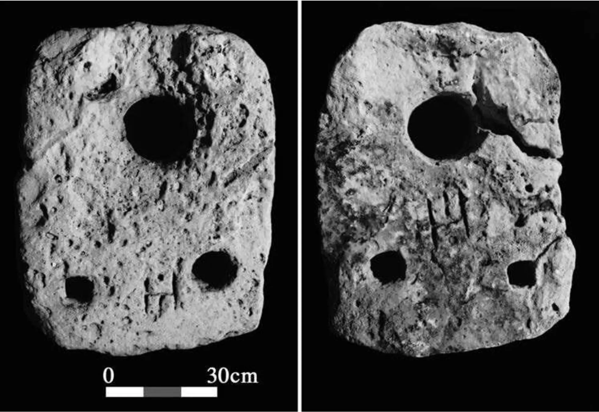 Anchor #8 from Galili, E., & Rosen, B. (2015) with CM102 symbol