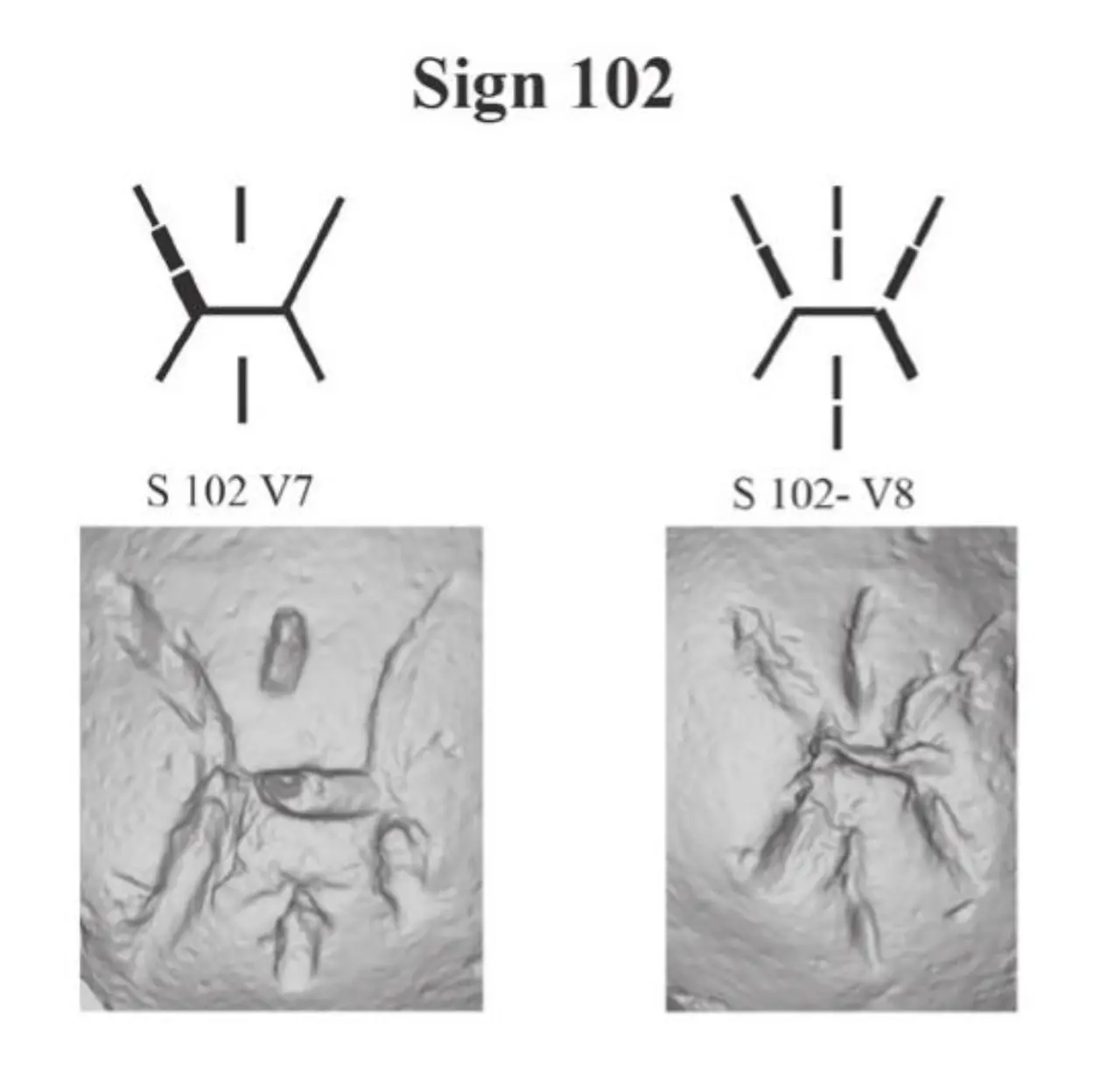 Examples of Cypro-Minoan Symbol 102