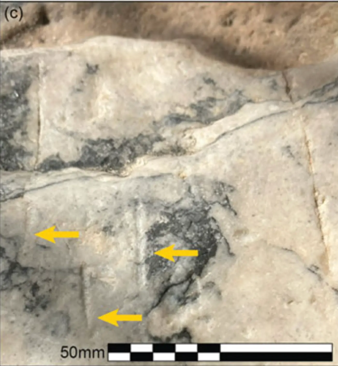 Cypro-Minoan Carving CM 102 found carved on a one-hole stone anchor