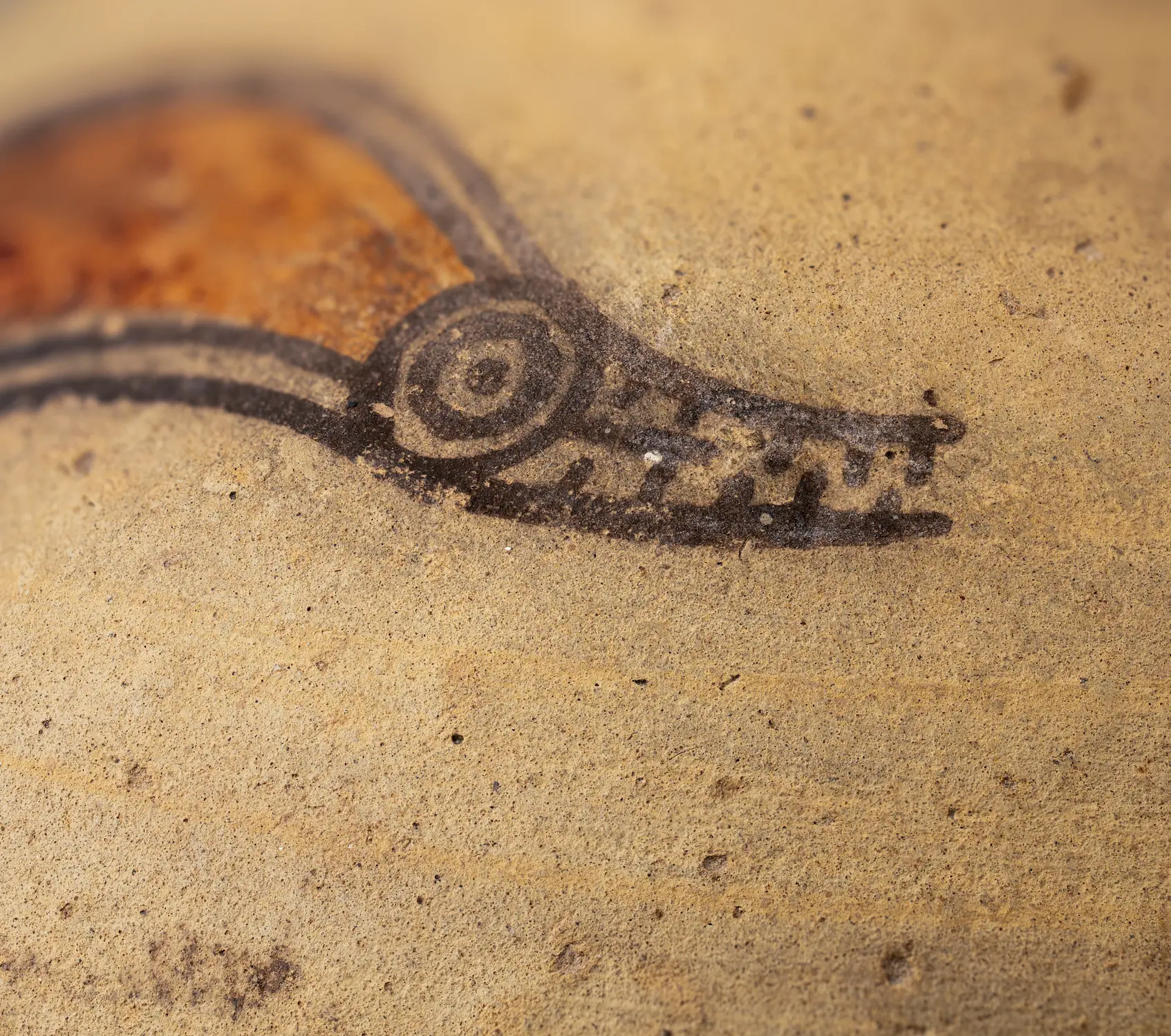 Photo of Cypro-Archaic Free-Field Bird in the Drakopoulos Collection - Closeup of Head