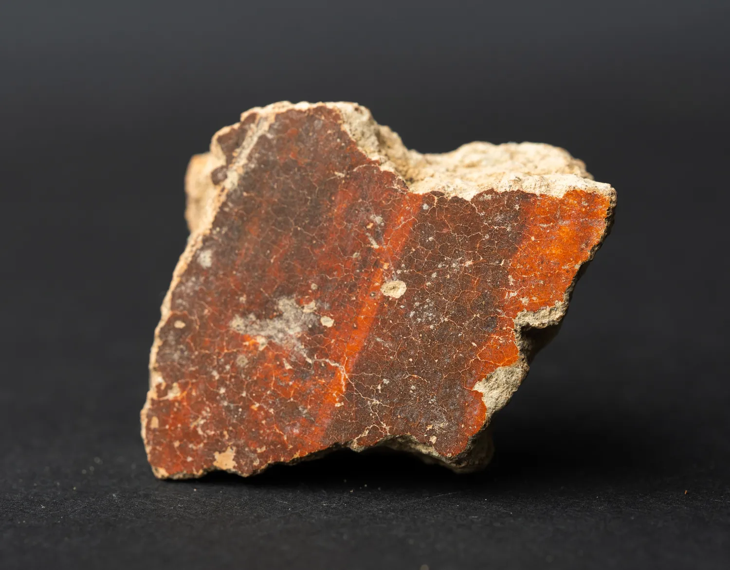 The outer wall of a curved potsherd, its red-slipped surface obscured by a thick grey-white crust of lime picked up from long burial or surface exposure.