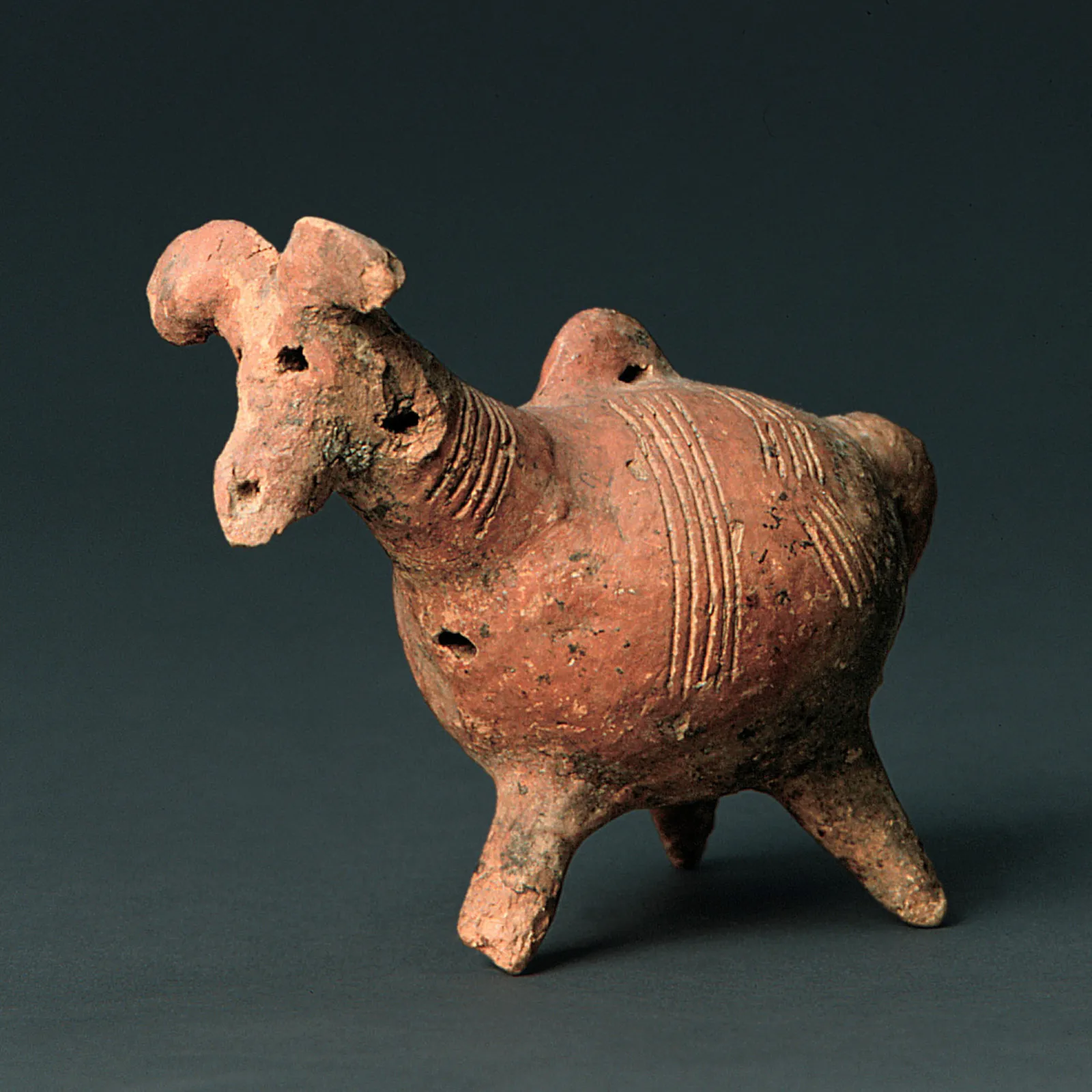 A single-headed Red Polished animal askos with a bull's head and curved horns, white-filled incised lines on the flank and a hole pierced in each side, the ordinary one-animal form that this vessel doubles. Allard Pierson, Amsterdam.