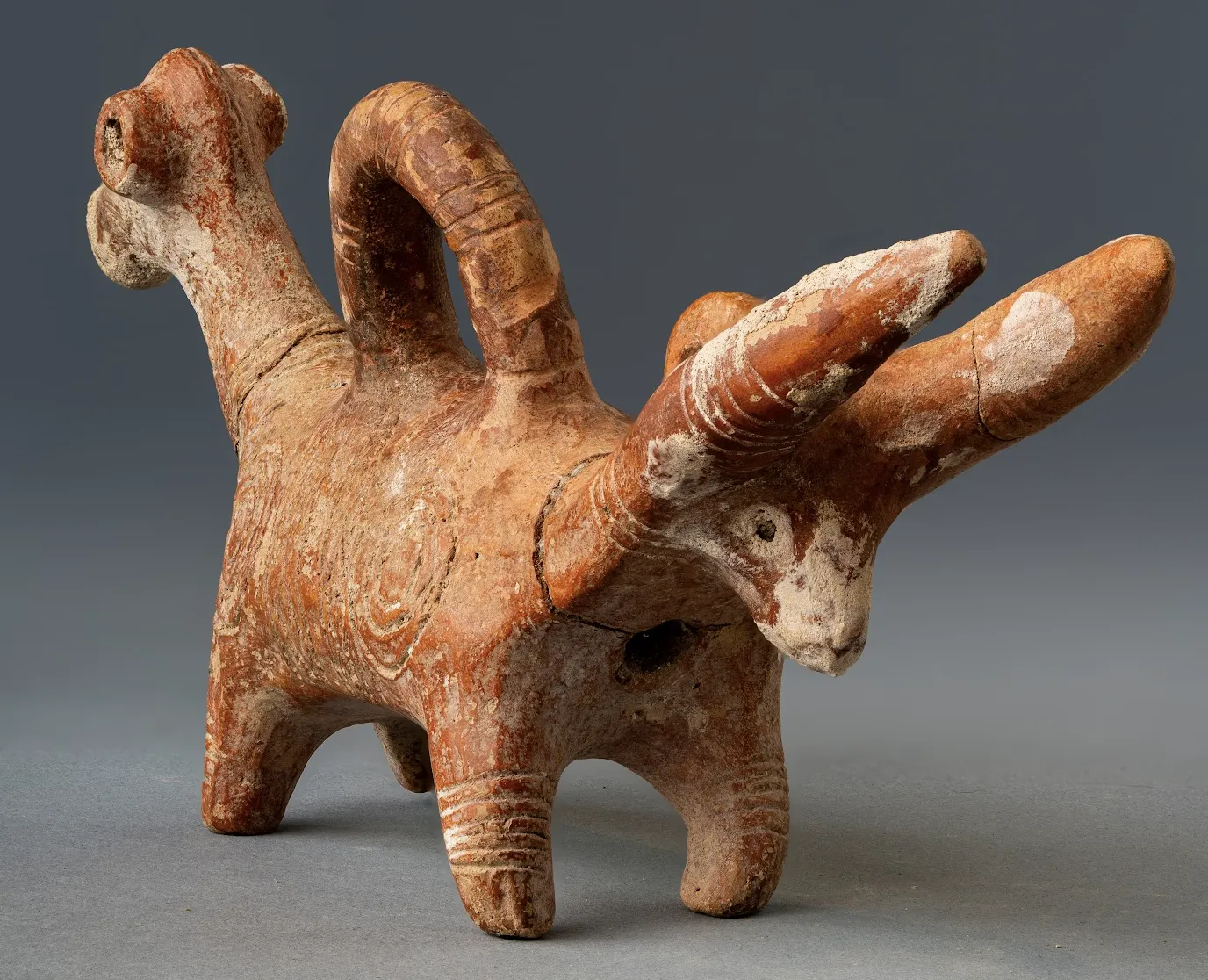 The long-eared end of the author's askos: a long head with two tall ears, read as a donkey or a stag, set on the same red burnished body as the bull. White-filled concentric circles cover the flank, and an old mended break crosses the neck behind the head.