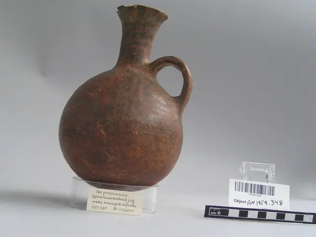 Red on Black round-bodied jug with trumpet mouth, Middle Bronze Age II Cypriot