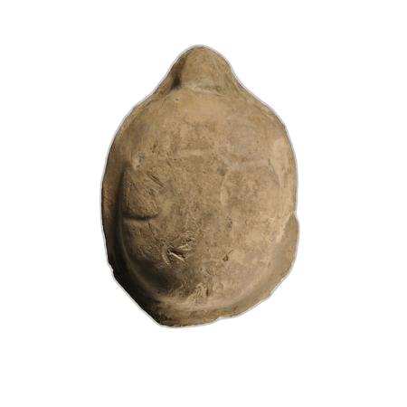 Terracotta Tortoise Figure, Archaic II Cypriot statue