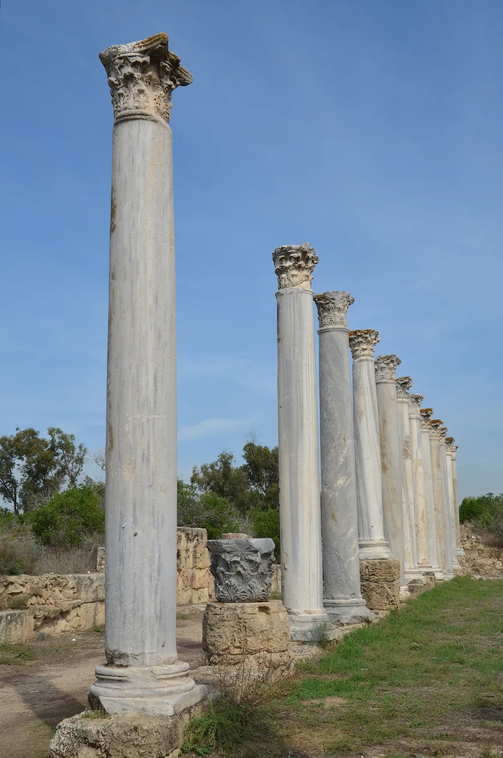 The east colonnade of the palaestra at Salamis: marble shafts of different colours and heights, some raised on rough limestone blocks, with a spare Corinthian capital set on a block. The columns were re-erected in the 20th century. Photo: Carole Raddato, CC BY-SA 2.0.