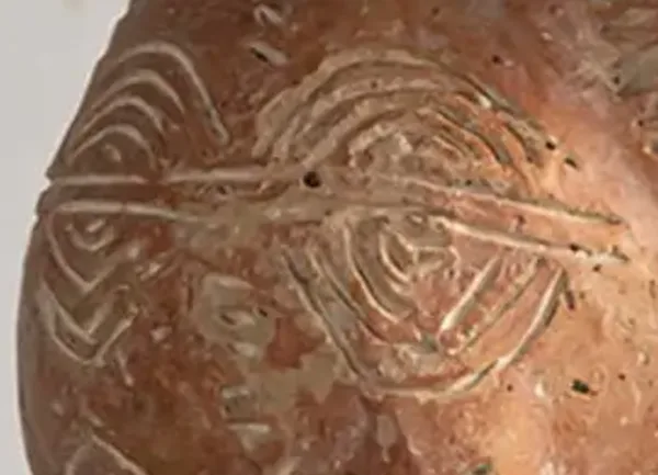 Detail of a neck swelling: nested incised semicircles meeting along a line.