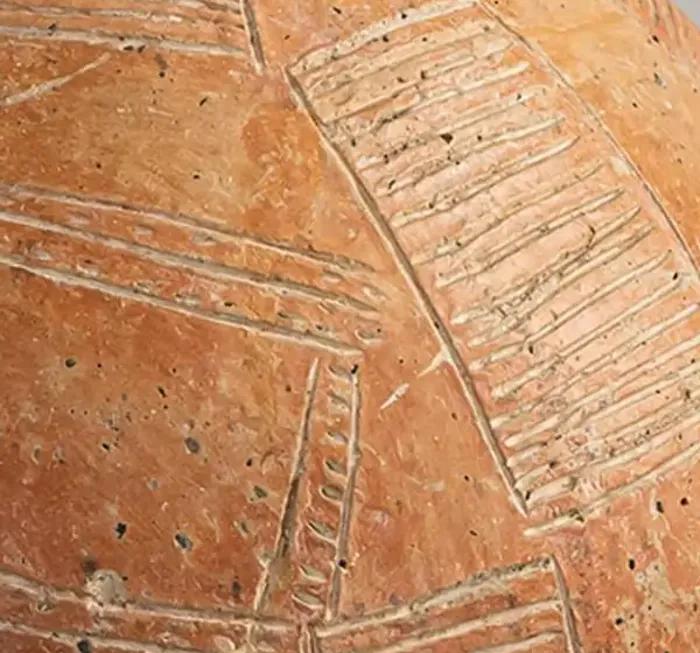 Detail of the body: a panel of close parallel hatching set at an angle to its neighbours.