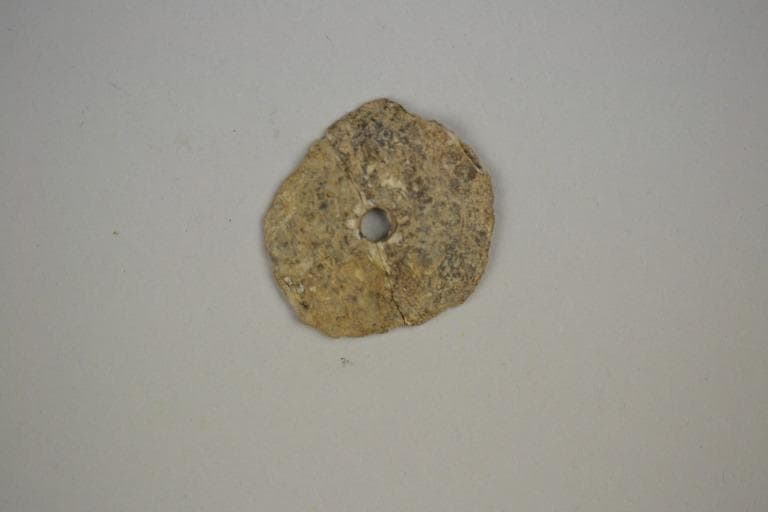 Ivory Button?, Late Bronze Age II Cypriot tool