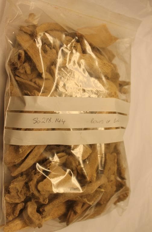 Human and Animal Remains: Skeletal, Late Bronze Age II Cypriot