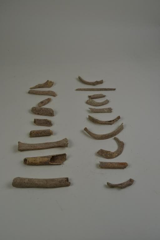 Human Remains: Skeletal, Late Bronze Age II Cypriot