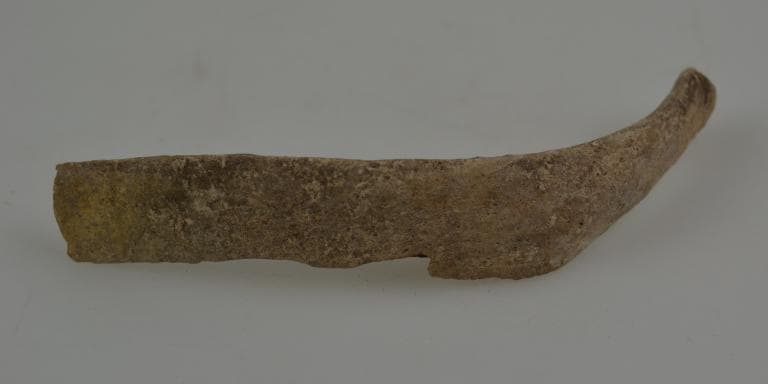 Human and Animal Remains: Skeletal, Late Bronze Age II Cypriot