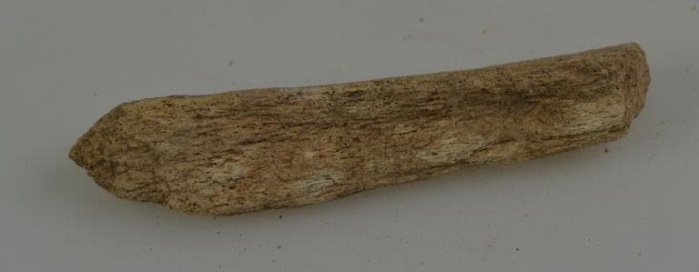 Human and Animal Remains: Skeletal, Late Bronze Age II Cypriot