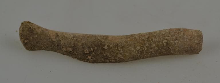 Human and Animal Remains: Skeletal, Late Bronze Age II Cypriot