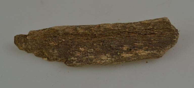 Human and Animal Remains: Skeletal, Late Bronze Age II Cypriot