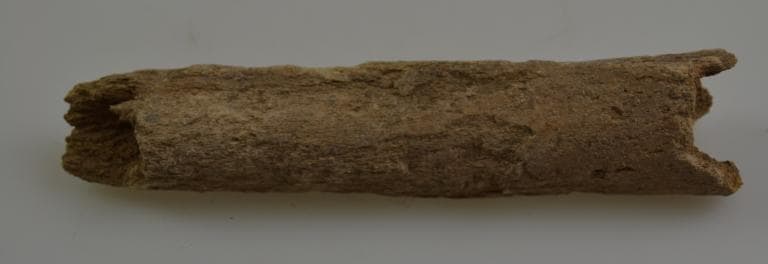 Human and Animal Remains: Skeletal, Late Bronze Age II Cypriot