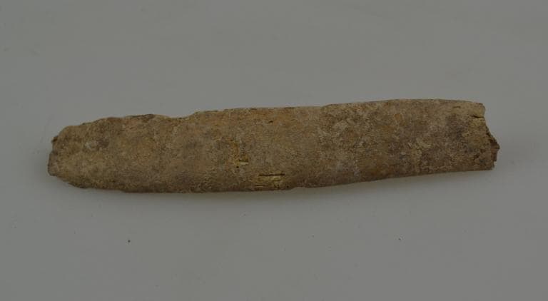 Human and Animal Remains: Skeletal, Late Bronze Age II Cypriot