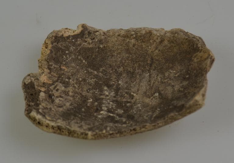 Human and Animal Remains: Skeletal, Late Bronze Age II Cypriot