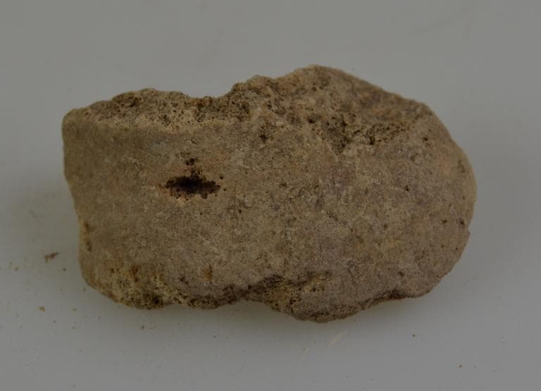 Human and Animal Remains: Skeletal, Late Bronze Age II Cypriot