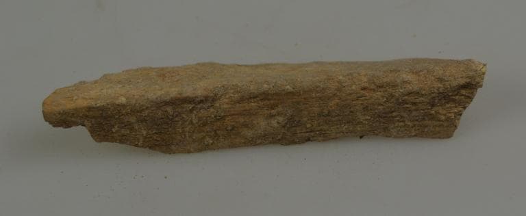 Human and Animal Remains: Skeletal, Late Bronze Age II Cypriot