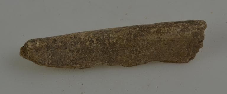 Human and Animal Remains: Skeletal, Late Bronze Age II Cypriot