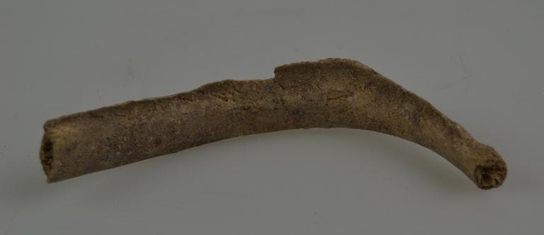 Human and Animal Remains: Skeletal, Late Bronze Age II Cypriot