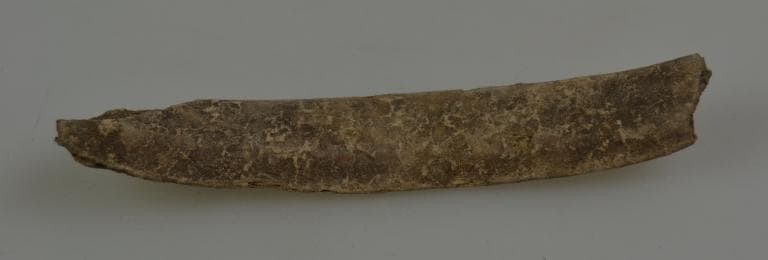 Human and Animal Remains: Skeletal, Late Bronze Age II Cypriot