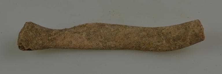 Human and Animal Remains: Skeletal, Late Bronze Age II Cypriot