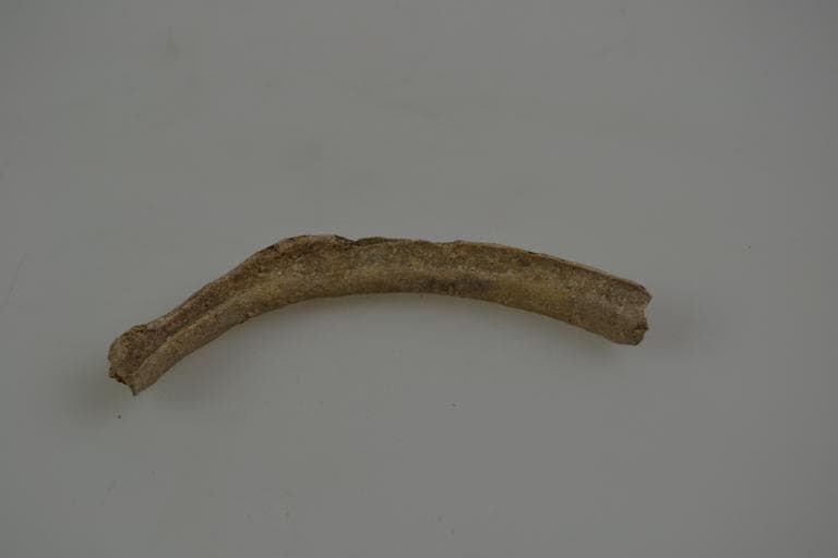 Human and Animal Remains: Skeletal, Late Bronze Age II Cypriot