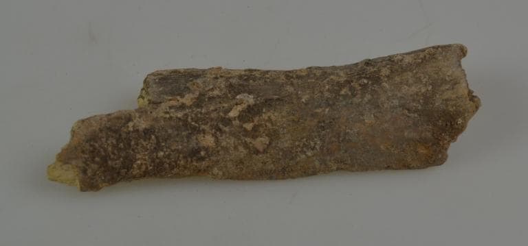 Human and Animal Remains: Skeletal, Late Bronze Age II Cypriot