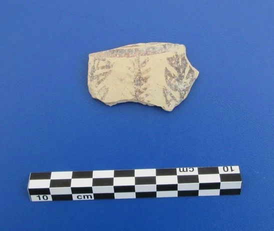 A pale pottery sherd painted in dark red and brown with branching leaf-like motifs, on a blue background beside a 10 cm scale