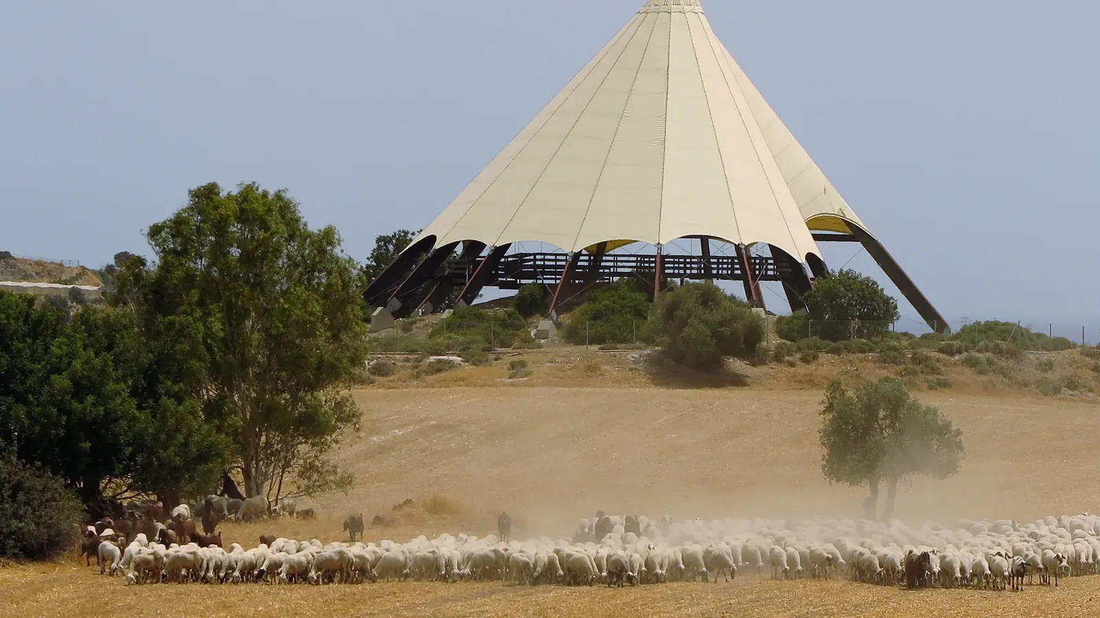 A flock of sheep and goats crossing a dry field below a tall cream-coloured conical shelter on a low hill
