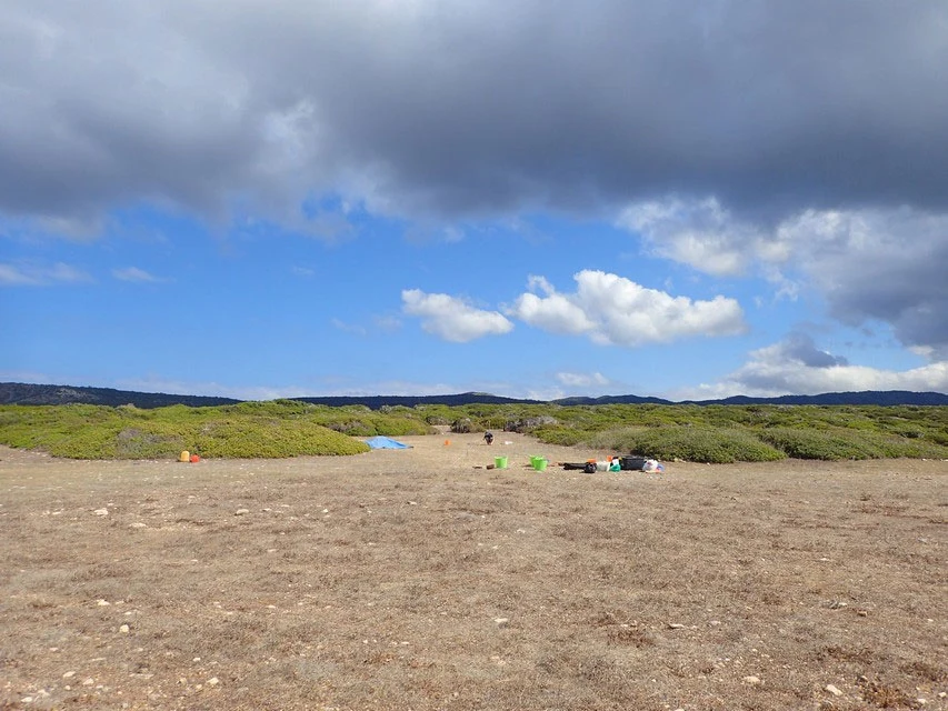 Flat open ground of dry grass and pebbles running to low green scrub under a cloudy sky, with buckets, a blue tarpaulin and a distant figure at the excavation area
