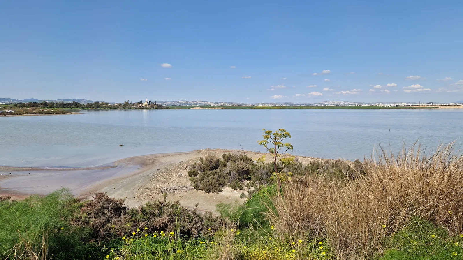 A shallow salt lake under a blue sky, with scrub and grasses on the near shore and a domed mosque among trees on the far side