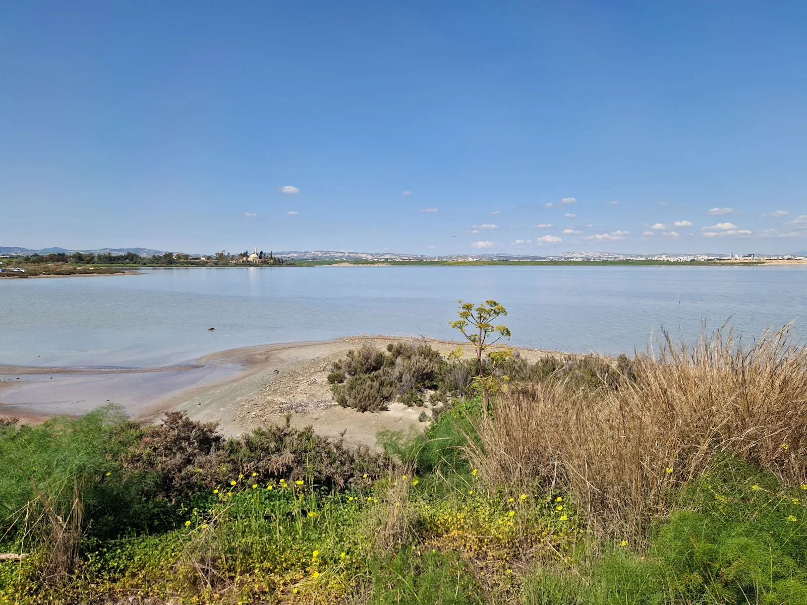 A wide shallow lake under a blue sky, with scrub and yellow flowers in the foreground and a mosque with a dome and minaret among trees on the far shore